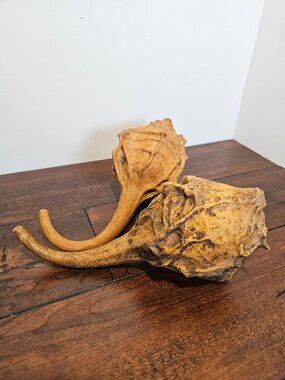 Shake Up Your Rhythm with Authentic Gourd Maracas!